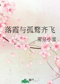 落霞与孤鹜齐飞